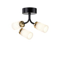 **Moderne plafondlamp met drie glazen kappen en zwart-gouden afwerking**